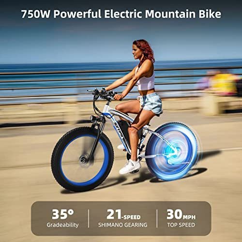 26''Electric Bike for Adults with 48V 13Ah Removable Battery,750W Fat Tire