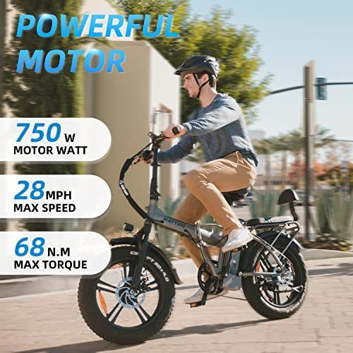 Rattan 750W LM/LF Pro Electric Bike for Adults 20" x 4.0 Fat Tire Electric Bicycles