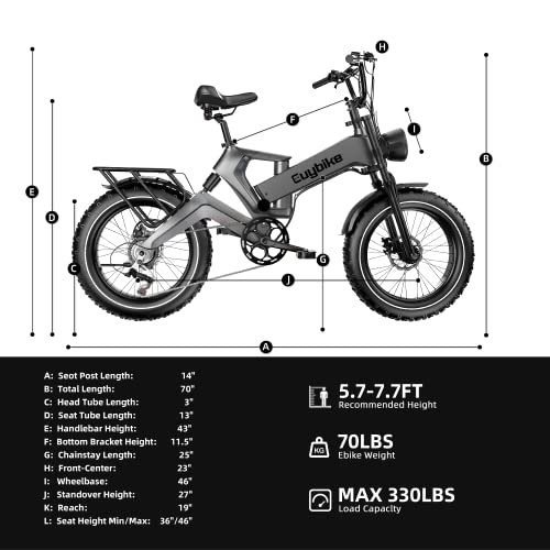 bluebiko K6F Electric Bike for Adults, 20 "x4.0 Fat Tire Electric Bicycle with 1000W Motor