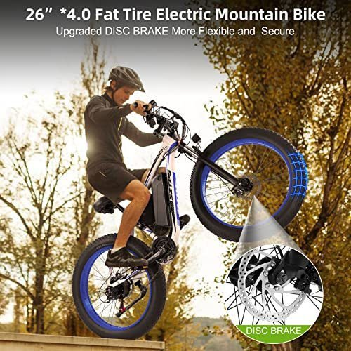 26''Electric Bike for Adults with 48V 13Ah Removable Battery,750W Fat Tire