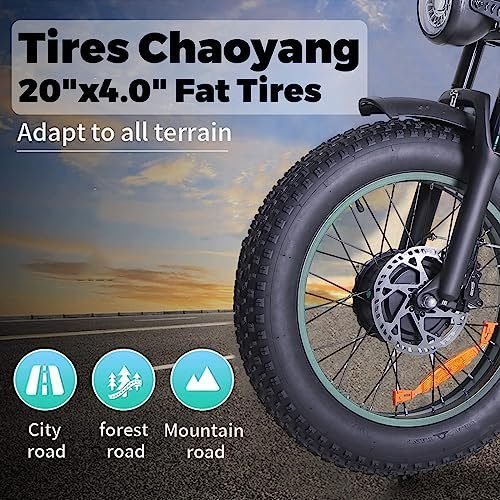 1CYCLE Electric Bikes 2000w Ebikes for Adults, Dual Motor Fat Tire Electric Mountain Bike