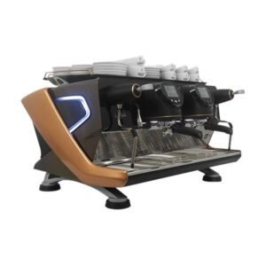 Gaggia La Reale 2-GROUP  DFC  Espresso Machine