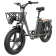 Fiido T1 48V 20Ah 750W 20*4.0In Electric Bicycle 150 Km Mileage 150 Kg Payload Mechanical Disc Brake Electric Bike